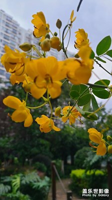 開學季
