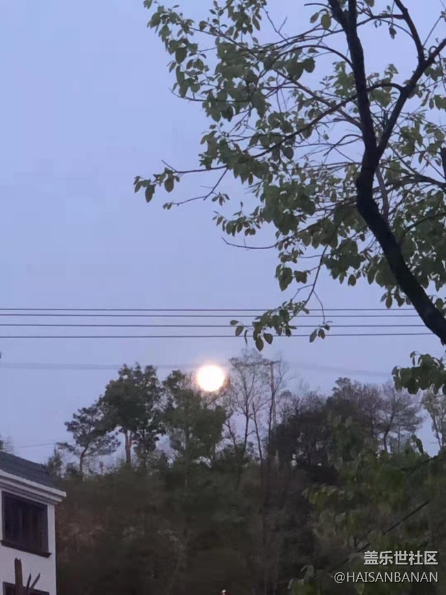 【暑期日常分享】拍月亮