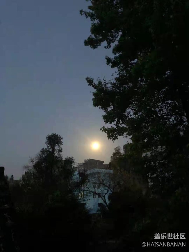 【暑期日常分享】拍月亮