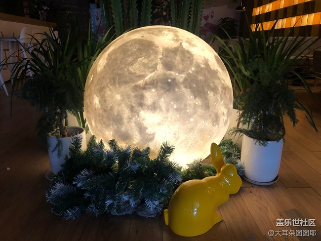 靜物之美——玩偶