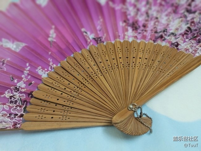 #靜物之美——扇子