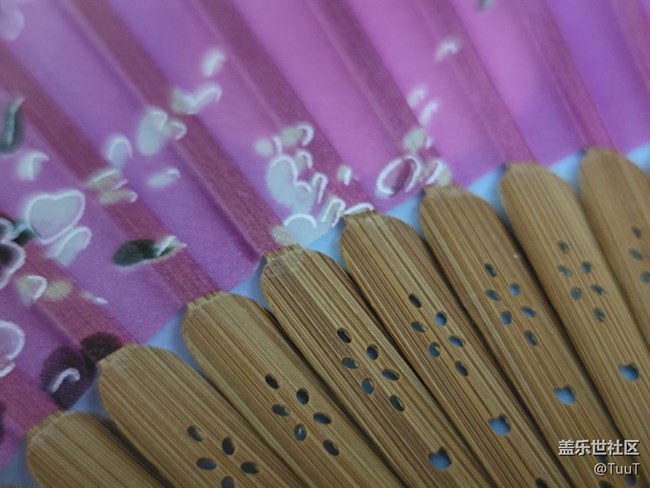 #靜物之美——扇子