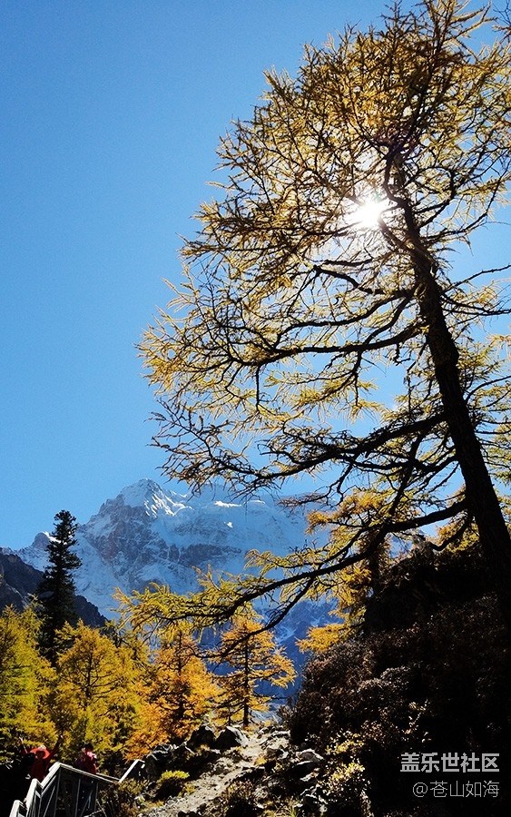 [你好，色彩]亞丁秋色