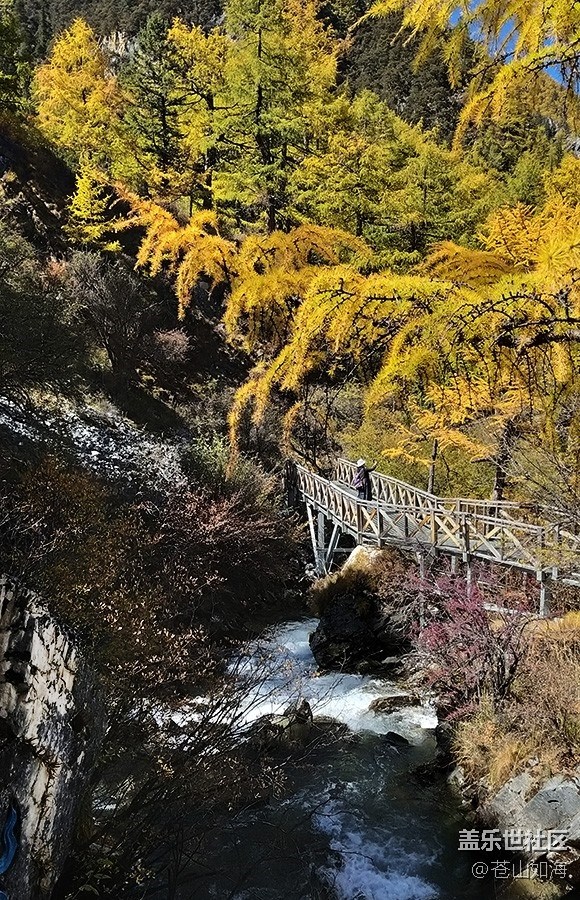 [你好，色彩]亞丁秋色