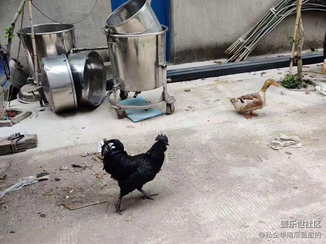 【暑期日常分享】