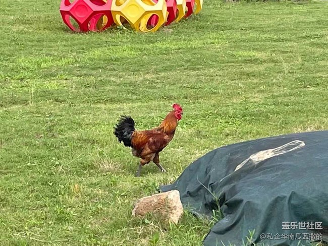 【暑期日常分享】