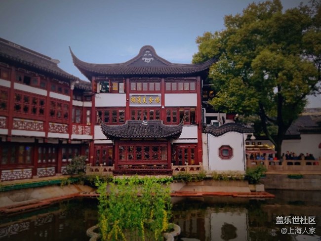 #打卡上?！虾３勤驈R