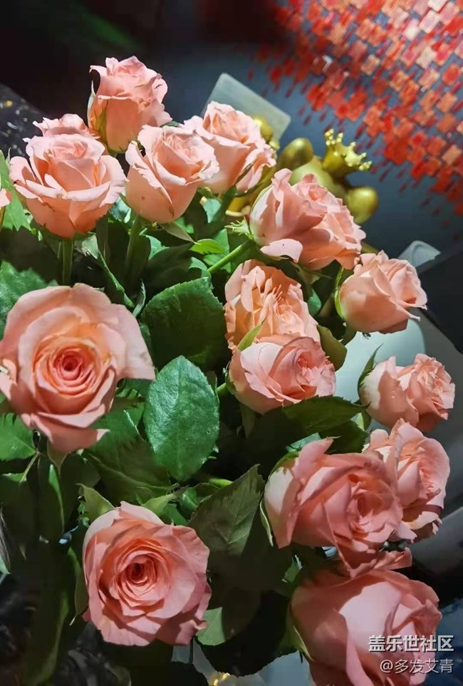 【暑期日常分享】