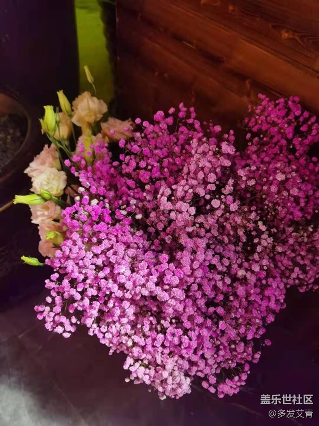 【暑期日常分享】