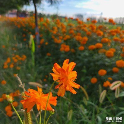 晨跑隨拍