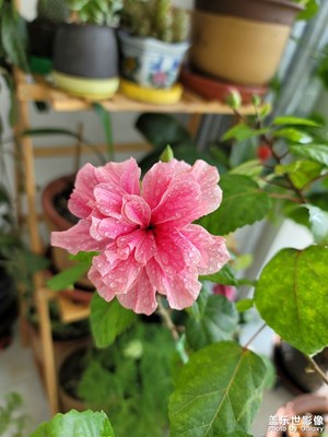 今日照片