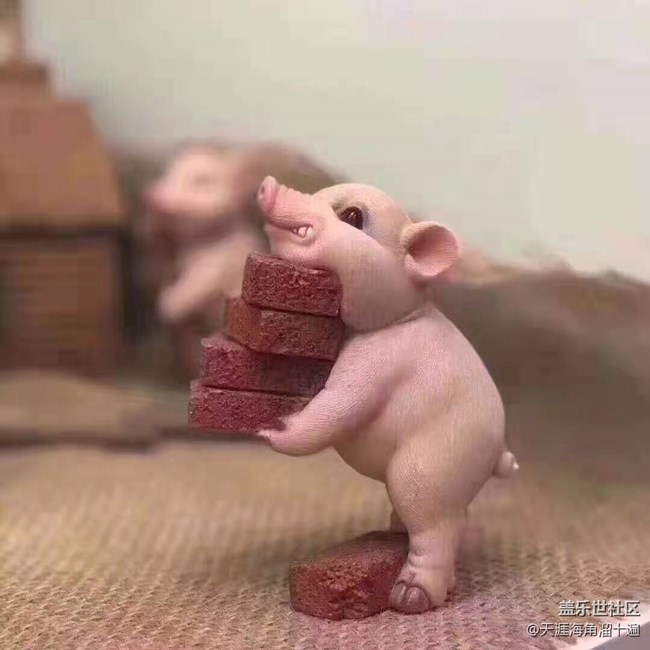 【暑期日常分享】