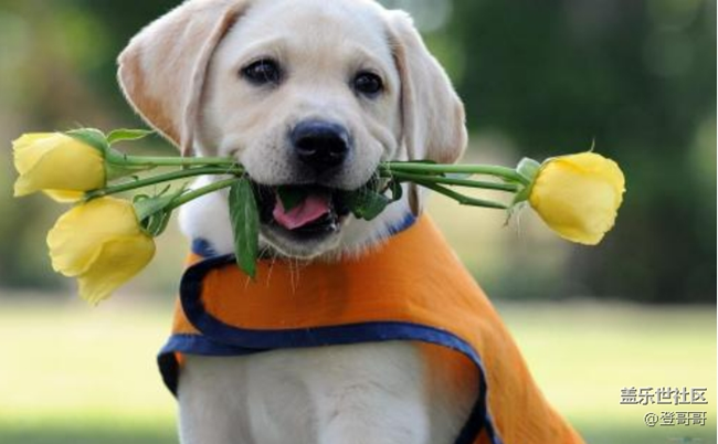 已開獎(jiǎng)【寵物9月第一期】寵物開心一刻