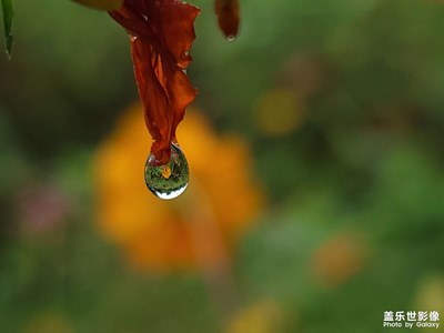 雨滴，專業(yè)模式