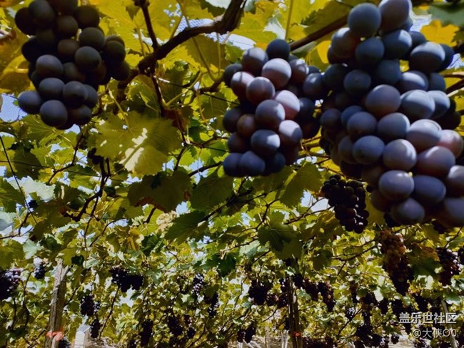 【暑期游玩分享】