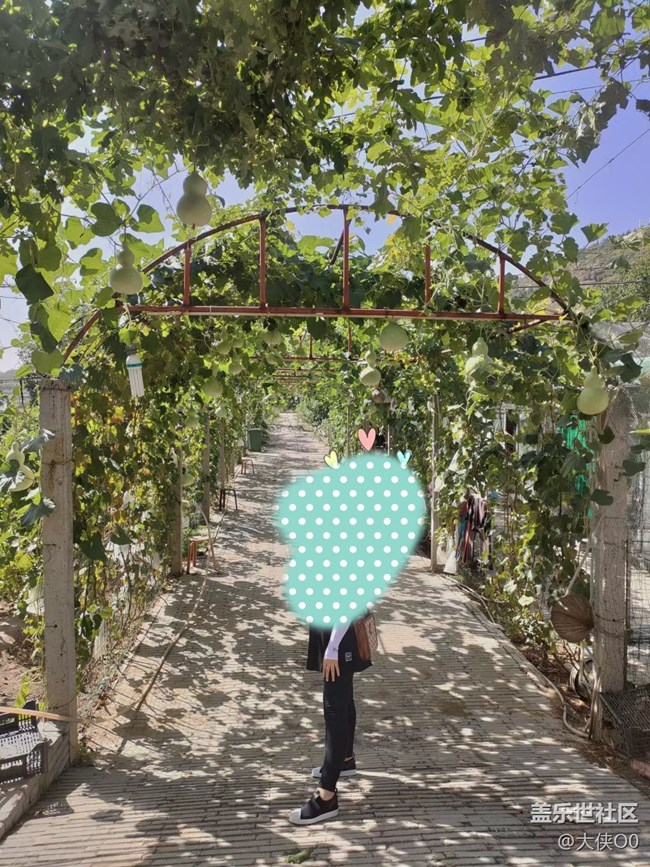 【暑期游玩分享】