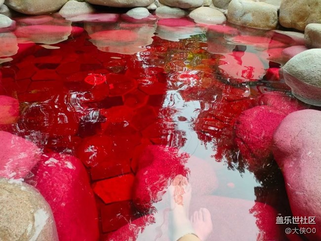 【暑期日常分享】