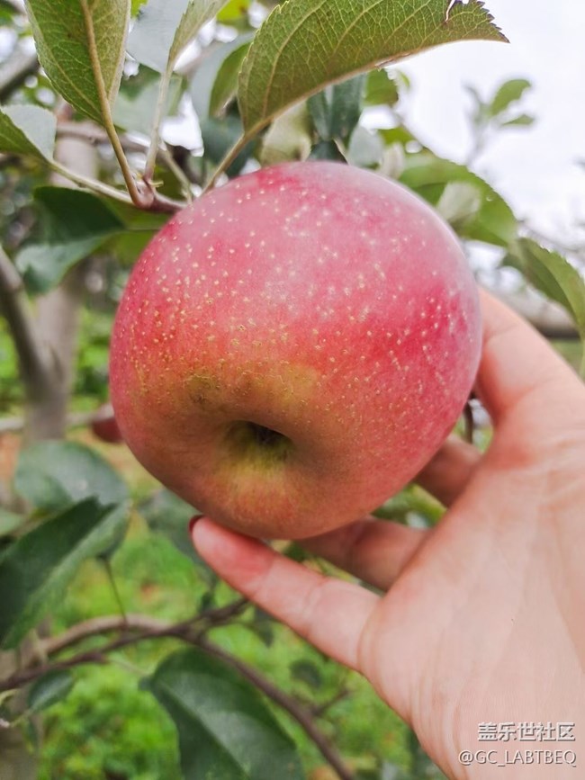 【暑期日常分享】