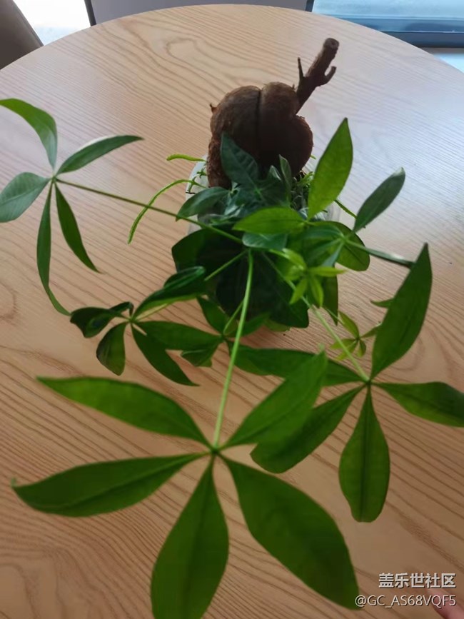 【暑期日常分享】