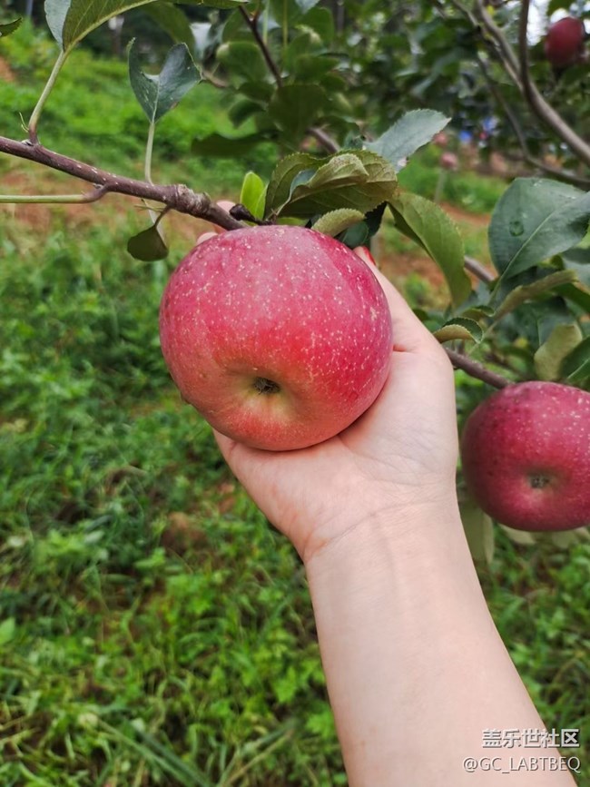 【暑期日常分享】