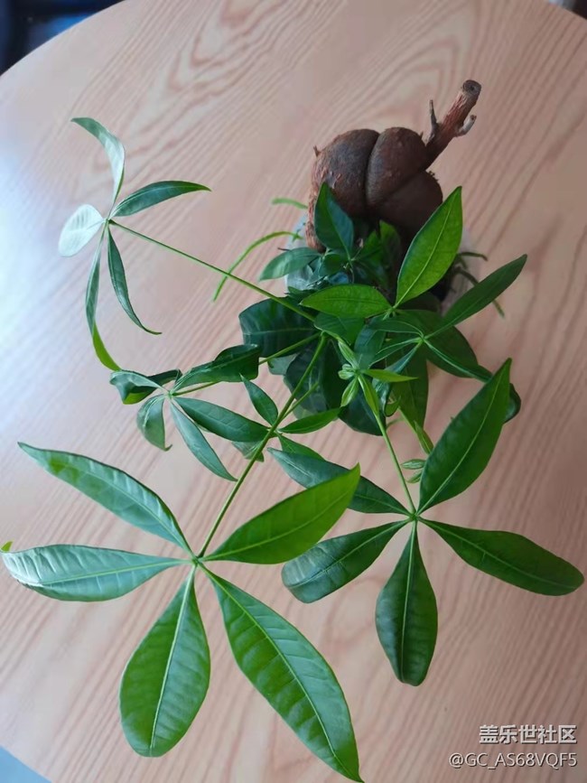 【暑期日常分享】