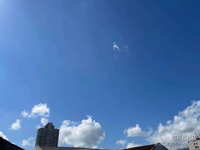 【暑期日常分享】