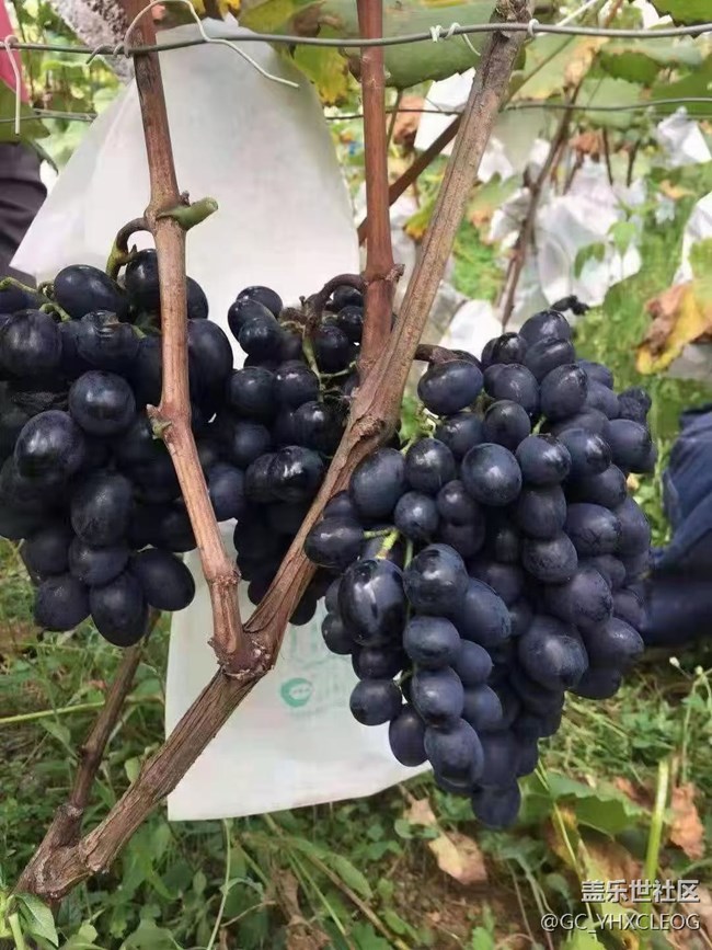 【暑期日常分享】