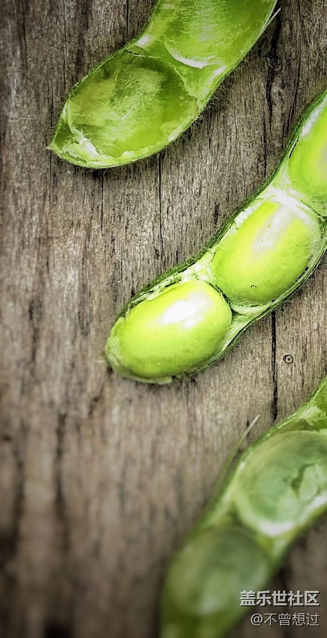 【家中小景】一些豆子