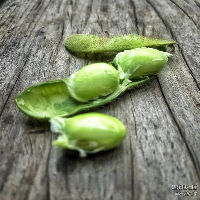 【家中小景】一些豆子