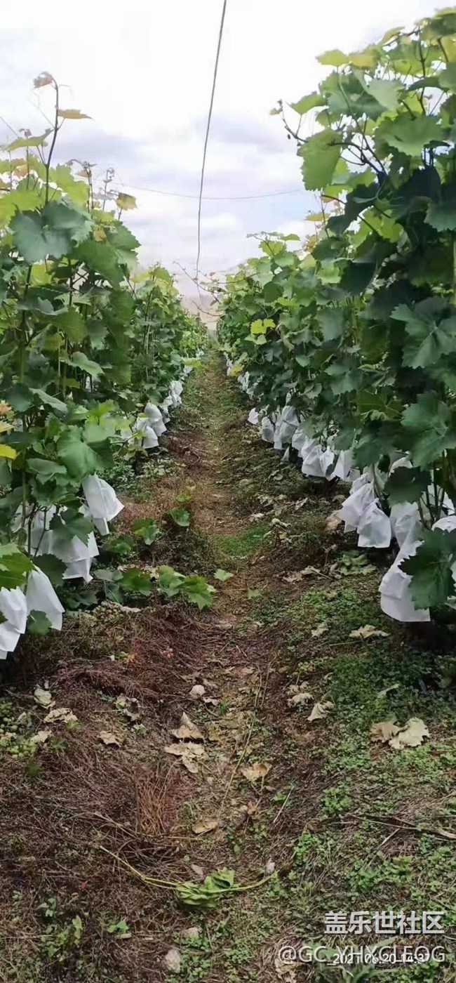 【暑期日常分享】