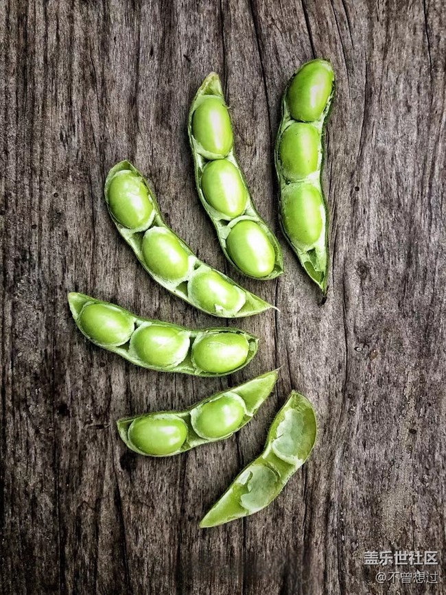 【家中小景】一些豆子