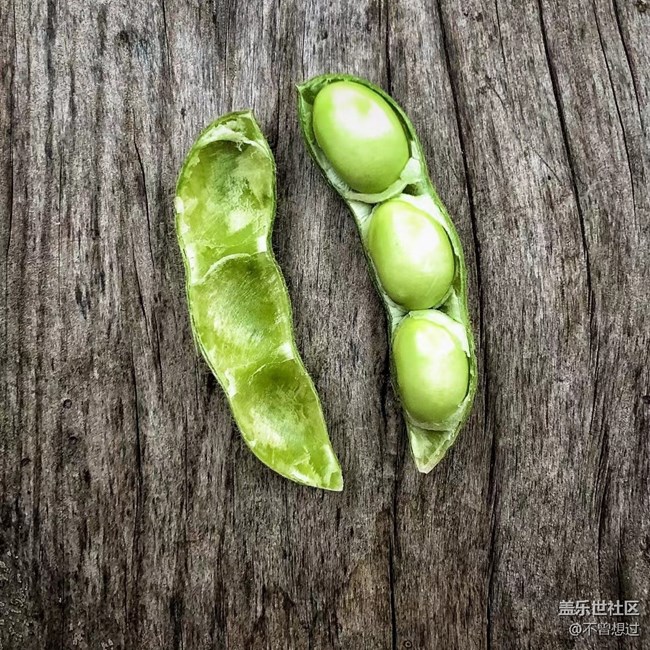 【家中小景】一些豆子