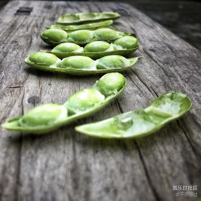 【家中小景】一些豆子