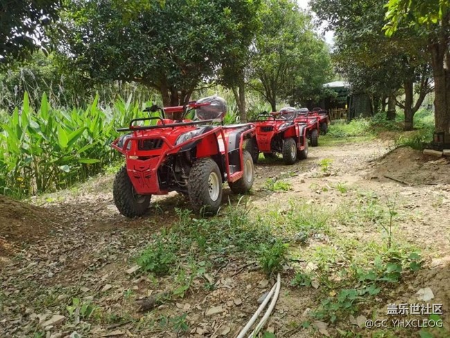 【暑期游玩分享】