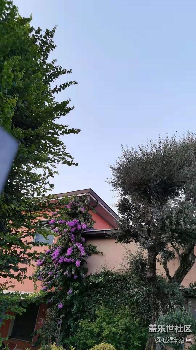 【暑期游玩分享】