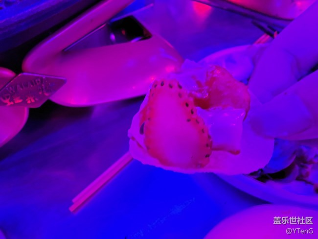 #三星快閃店打卡+新品美食禮品一樣沒有少！