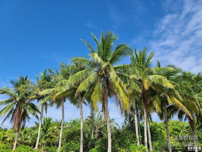 《每周星鮮事》 第78期:Galaxy Z Fold3|Z Flip3預(yù)約開啟