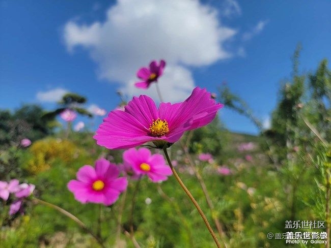 《每周星鮮事》 第78期:Galaxy Z Fold3|Z Flip3預(yù)約開啟