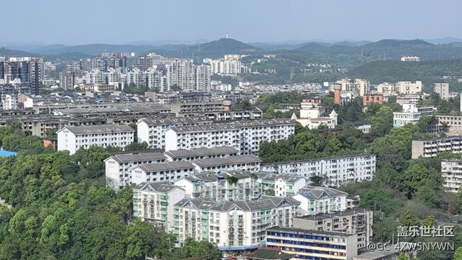 S21U的相機(jī)總體來說沒啥毛病