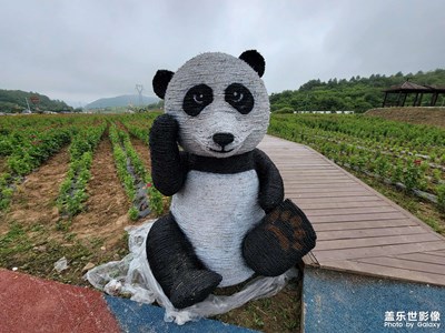 【神奇的動(dòng)物】 真真假假