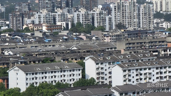 S21U的相機(jī)總體來說沒啥毛病