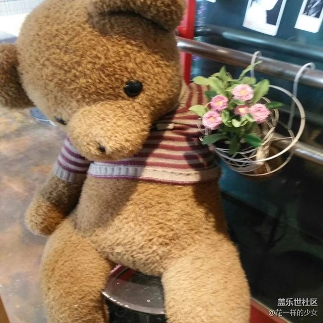 【家中小景】一些可愛(ài)的熊熊