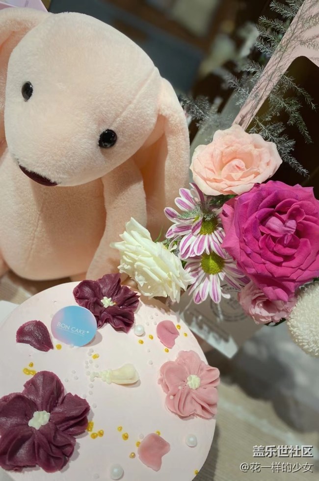 【家中小景】一些可愛(ài)的熊熊