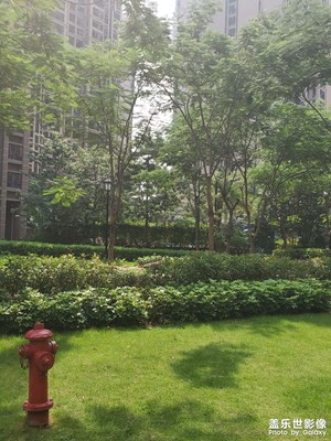 小區(qū)風景