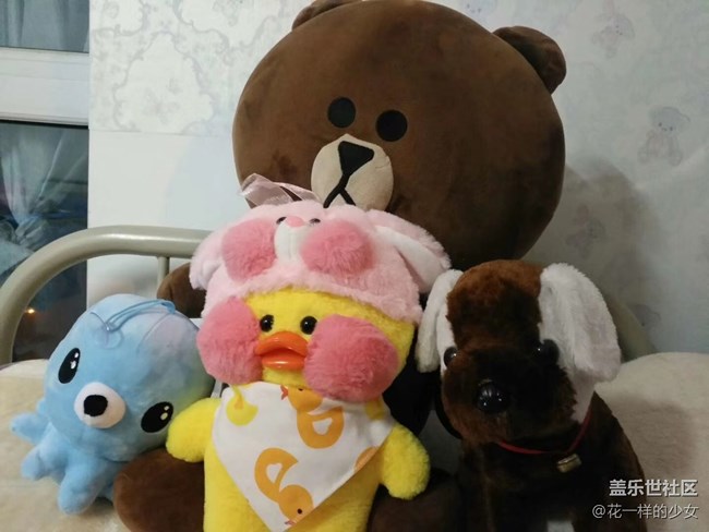 【家中小景】一些可愛(ài)的熊熊