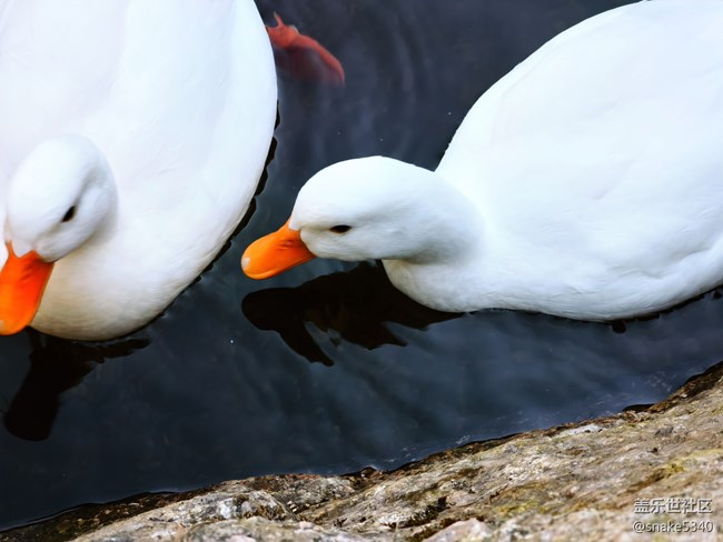 大冰溝……我們來(lái)啦! 大冰溝……我們來(lái)啦!