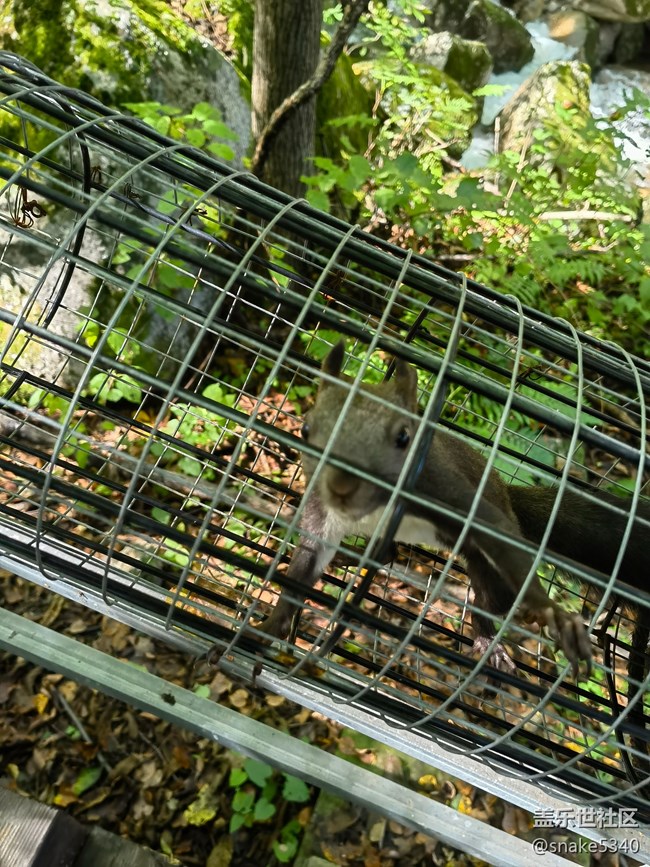 大冰溝……我們來(lái)啦! 大冰溝……我們來(lái)啦!