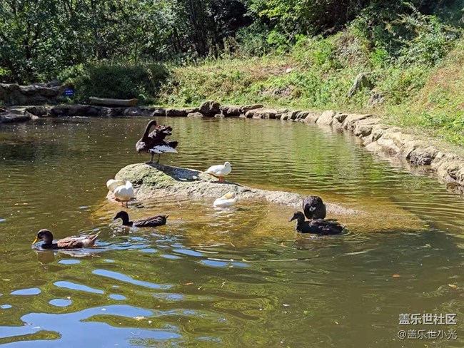 沈陽星部落暢游大冰溝暨攝影活動(dòng) 沈陽星部落暢游大冰溝暨攝影活動(dòng)