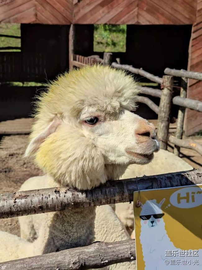 沈陽星部落暢游大冰溝暨攝影活動(dòng) 沈陽星部落暢游大冰溝暨攝影活動(dòng)