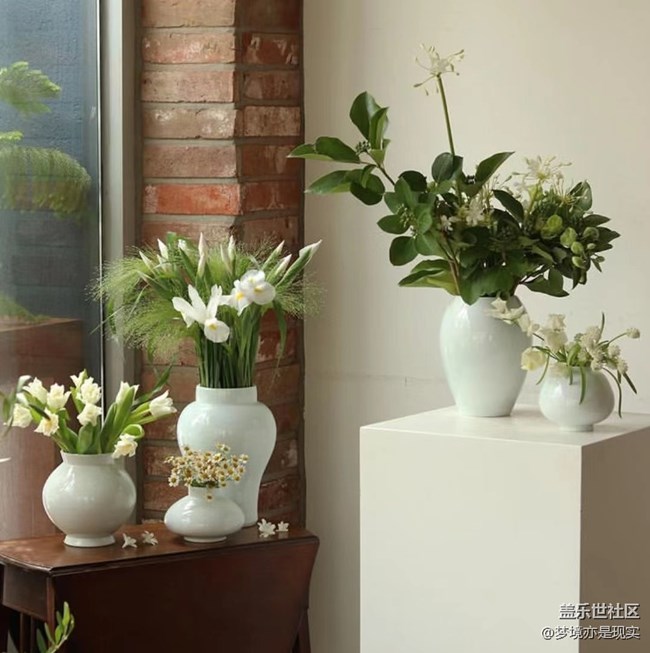 【家中小景】花 (＾▽＾) 草